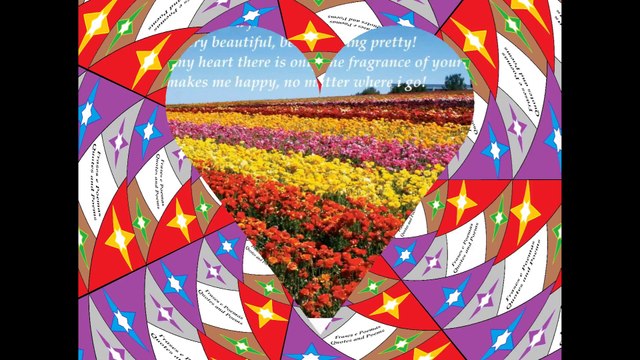 My love for you is like a field of roses: It is imense, beautiful and pretty! [Quotes and Poems]