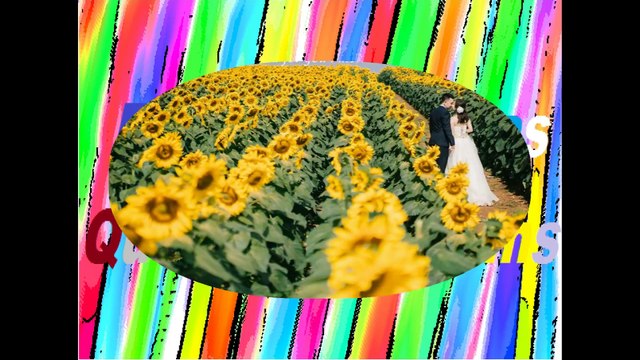 The garden of your love, is filled with beautiful flowers and roses, I love you! [Quotes and Poems]