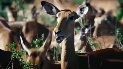 판교출장서비스 판교출장서비스O1Og2143g9131｛카톡UOM7｝ 판교출장마사지샵 판교출장안마on판교출장안마cos여3♪⇔∃마사지황형♥≗≪