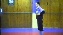 shaolin monk shi de ding chang quan