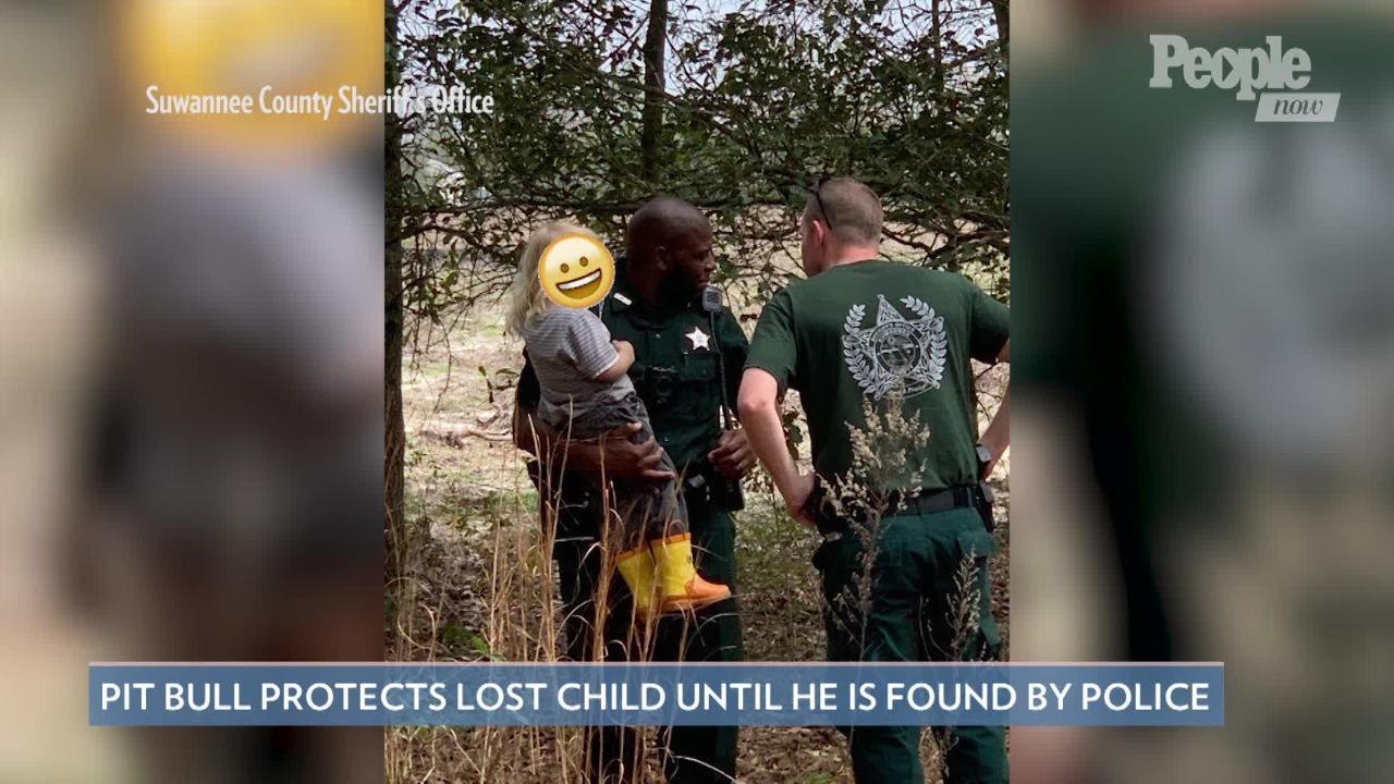Hero Pit Bull Protects Young Lost Owner Until the Child Is Found by Police: 'Give That Dog a Bone'
