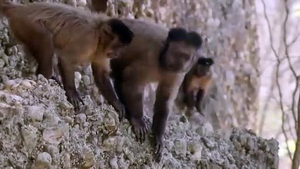 일산출장서비스 일산출장서비스O1Og2143g9131｛카톡KOM88｝ 일산출장마사지샵 일산출장안마on일산출장안마cos여3♪⇔∃마사지황형♥∉≪