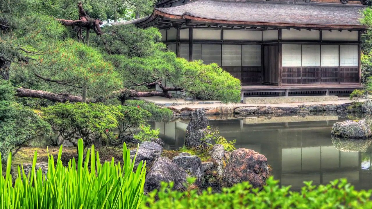 What You Didn't Know about Ninjas