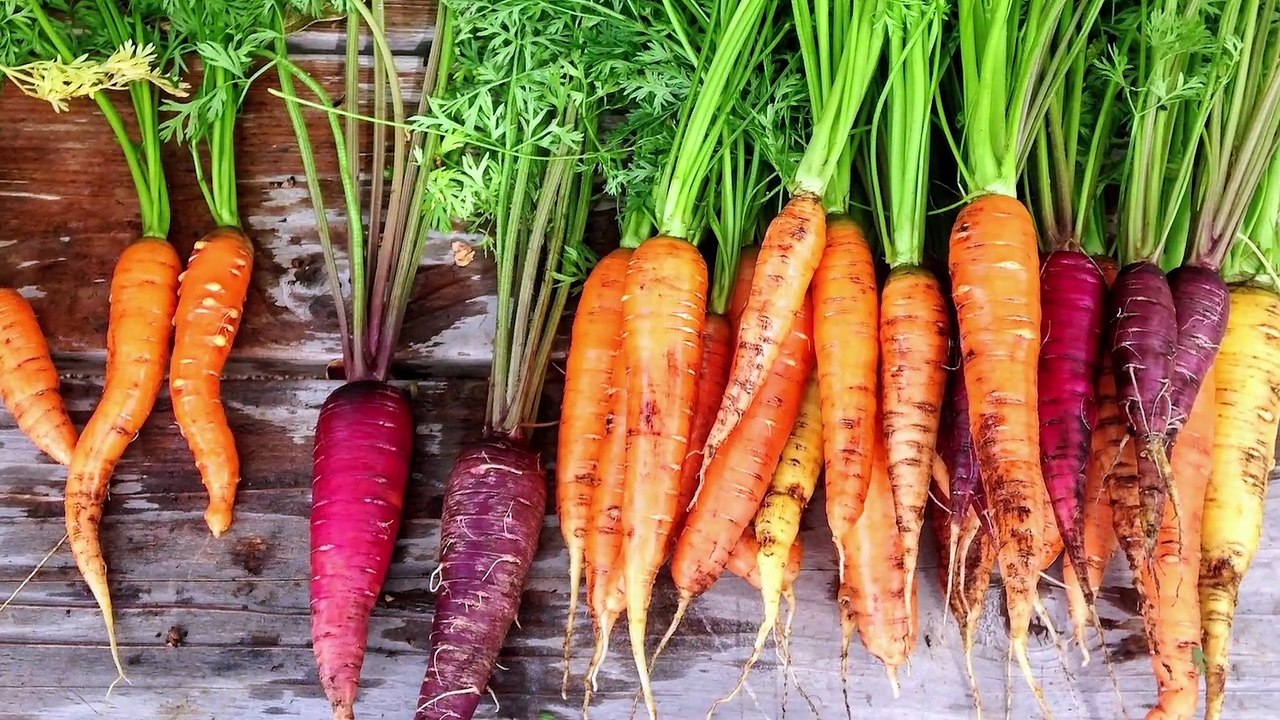 What the Average Medieval Diet Was Like