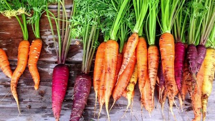 What the Average Medieval Diet Was Like