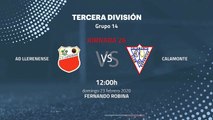 Previa partido entre AD Llerenense y Calamonte Jornada 26 Tercera División