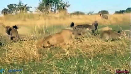 장흥출장서비스 장흥출장서비스O1Og2118g2518｛카톡TAT22｝ 장흥출장마사지샵 장흥출장안마on장흥출장안마cos여3♪⇔∃마사지황형♥◍≪