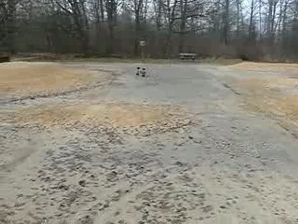 HPI Savage
