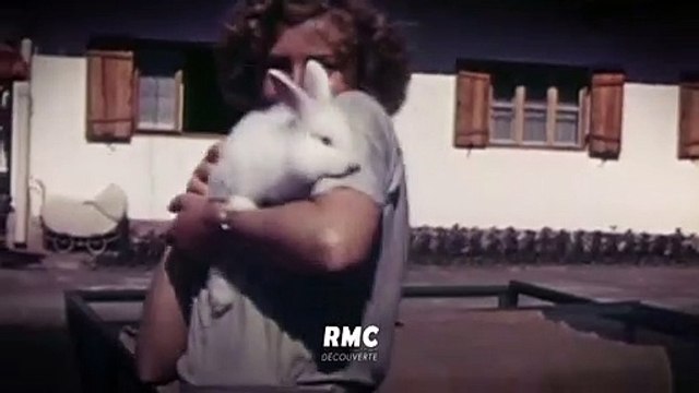 39/45 : les expériences interdites