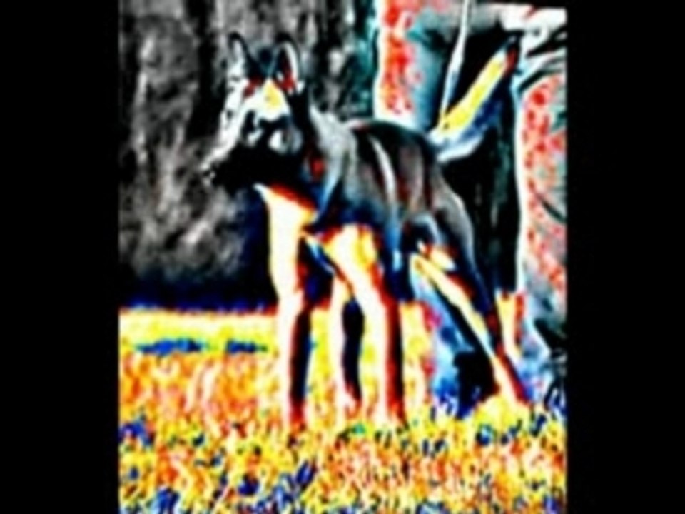 Smudo-Fährte-07.02.2008