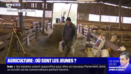 Le secteur de l'agriculture a bien du mal à séduire les jeunes