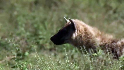 아산출장서비스 아산출장서비스O1Og2154g6609｛카톡LOT45｝ 아산출장마사지샵 아산출장안마on아산출장안마cos여3♪⇔∃마사지황형♥◥≪