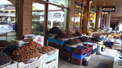 Corona virüsü Malatya kayısını da vurdu, Çin'e ihracat durdu