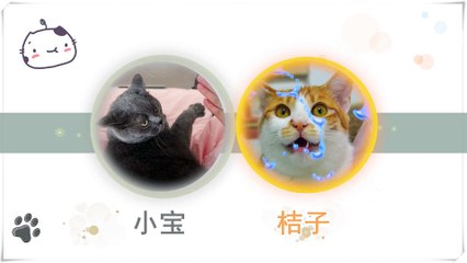 Funny Cat Cute and Funny Cat Videos Compilation #26