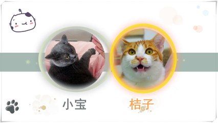 Funny Cat Cute and Funny Cat Videos Compilation #27