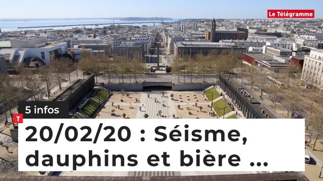 Séisme, dauphins et bière ... 5 infos du 20 février
