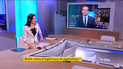 Union européenne : les agriculteurs lésés par le Brexit ?