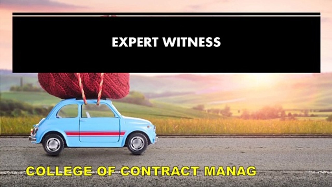 expert witness