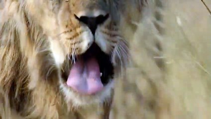 홍성출장서비스 홍성출장서비스O1Og2118g2518｛카톡TAT22｝ 홍성출장마사지샵 홍성출장안마on홍성출장안마cos여3♪⇔∃마사지황형♥∪≪