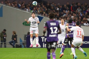 LOSC - Toulouse FC : le bilan des Dogues à domicile