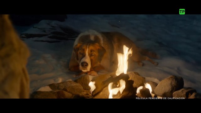 La adaptación de 'La llamada de lo salvaje' encabeza la cartelera