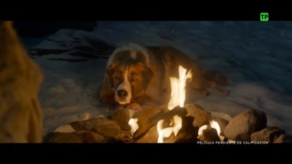 La adaptación de 'La llamada de lo salvaje' encabeza la cartelera