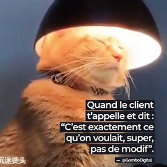 Quand le client t'appelle et dit "C'est exactement ce que je voulais"