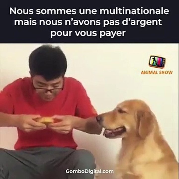 Nous sommes une multinationale