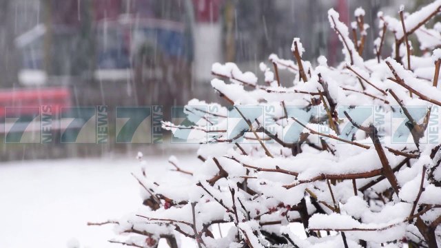 DEBORE NE JUGLINDJE E NE VERI, VESHTIRESI ME QARKULLIMIN E MJETEVE - News, Lajme - Kanali 7