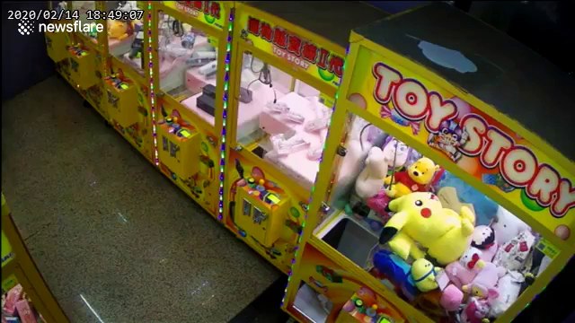 Cat caught on CCTV trying to 'steal' cuddly toy from claw grabber arcade machine
