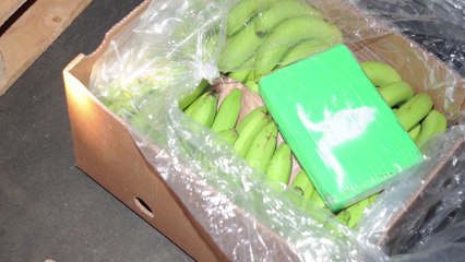 SPAK nis hetimet per ngarkesen me 1. 3 ton kokaine