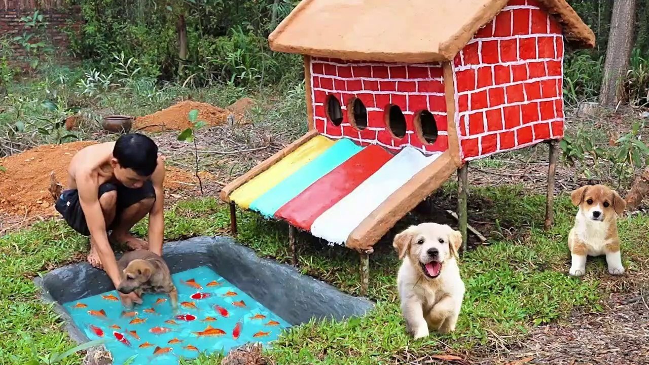 How To Build Colors Water Slide House For Abandoned Puppies