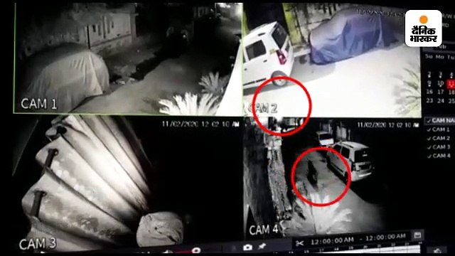 लखनऊ के रिहायशी इलाके में दिखा तेंदुआ