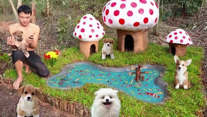 Rescue Abandoned Puppies Building Mud House Dog And Fish Pond For Black Fish