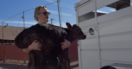 Après avoir reçu son Oscar, Joaquin Phoenix a sauvé un veau et sa mère d'une mort certaine dans un abattoir
