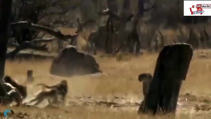 구미출장서비스 구미출장서비스O1Og2143g9131｛카톡VAS66｝ 구미출장마사지샵 구미출장안마on구미출장안마cos여3♪⇔∃마사지황형♥∵≪