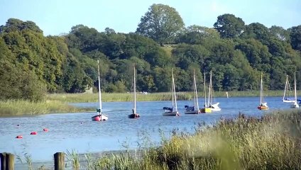 A vendre - Maison - Mer (41500) - 3 pièces - 67m²