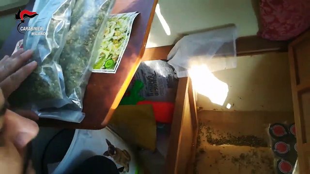 Rovello Porro (CO) - La marijuana non era ''light'', arrestato coltivatore (20.02.20)