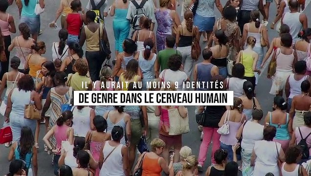Il y aurait au moins 9 identités de genre dans le cerveau humain