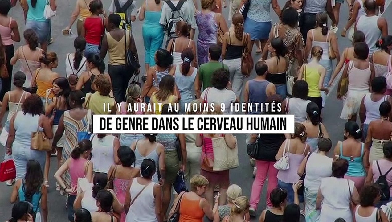 Il y aurait au moins 9 identités de genre dans le cerveau humain