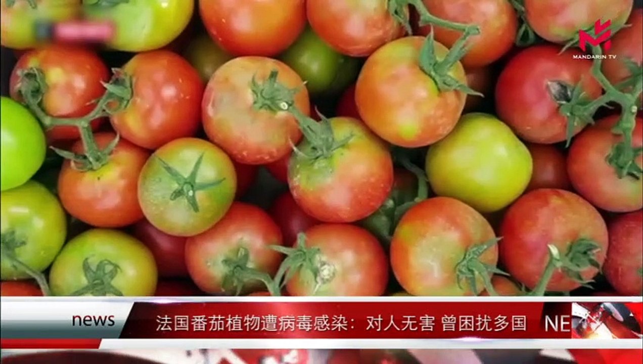News Express 时事快讯  20/02/2020