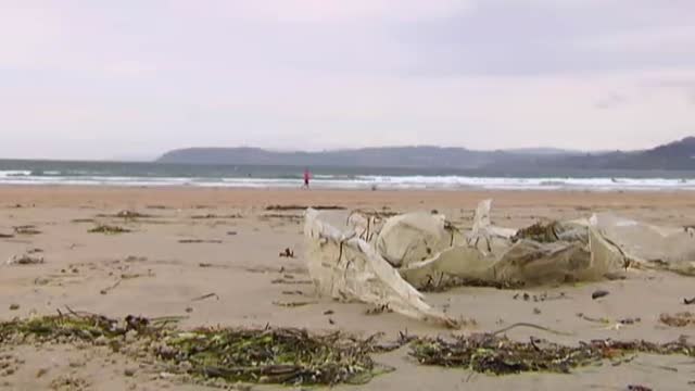 Continúa la lucha contra la basuraleza . 30.000 personas ya se han sumado al movimiento