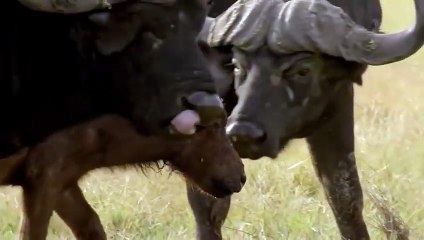 김천출장서비스 김천출장서비스O1Og4832g2166｛카톡BBC42｝ 김천출장마사지샵 김천출장안마on김천출장안마cos여3♪⇔∃마사지황형♥◝≪