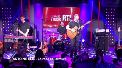 Antoine Elie - La Rose et l'armure (Live) - Le Grand Studio RTL