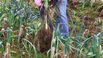 Par les Villages - Transition écologique en Loire Forez