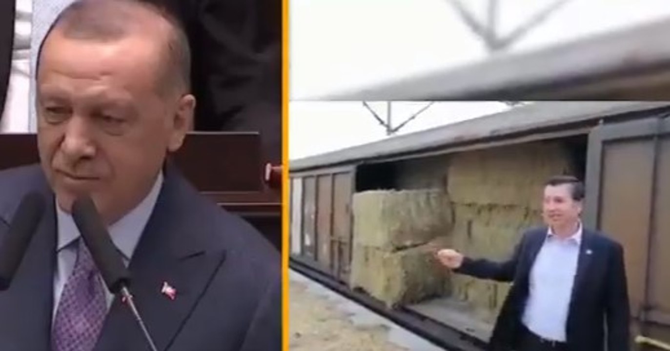 "24 saatte çöktü"