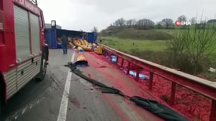 TIR devrildi, karayolu salça tarlasına döndü
