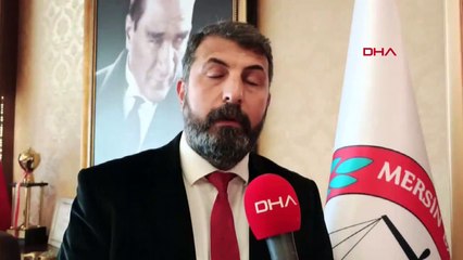 Mersin'de ağaç katliamı