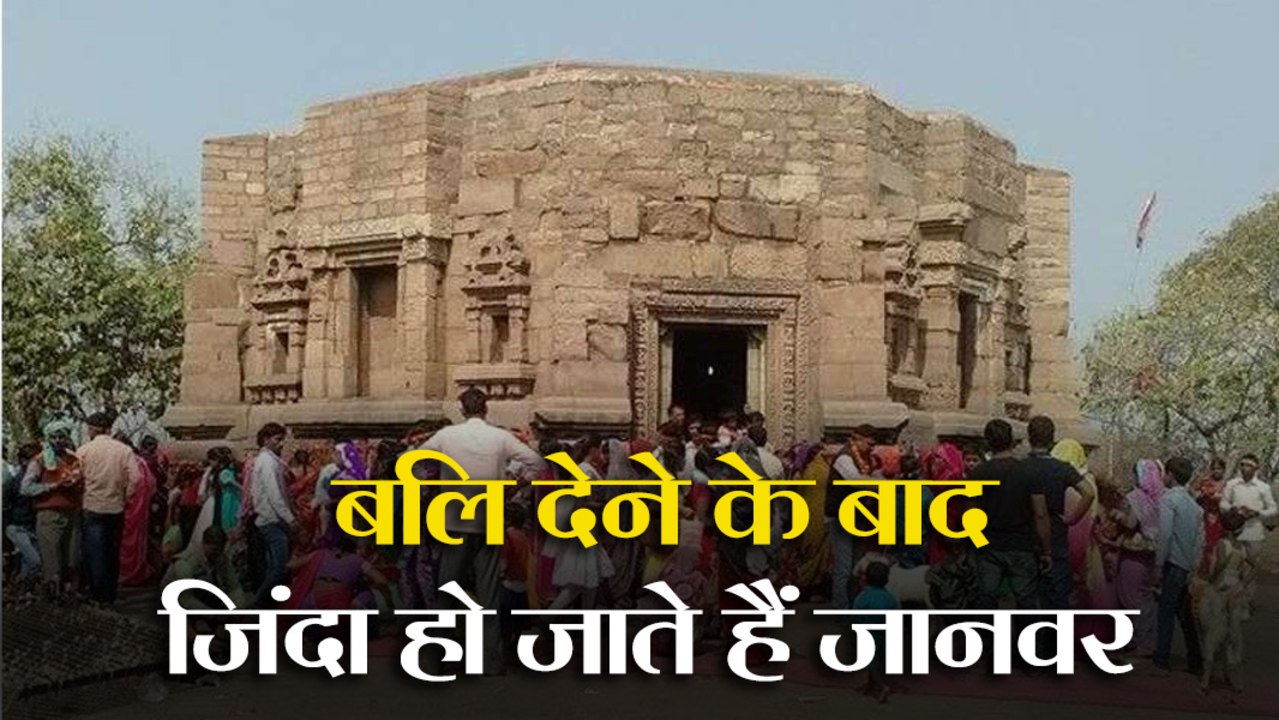 इस मंदिर में बलि देने के बाद फिर जिंदा हो जाते हैं जानवर, रहस्यमयी सच्चाई!