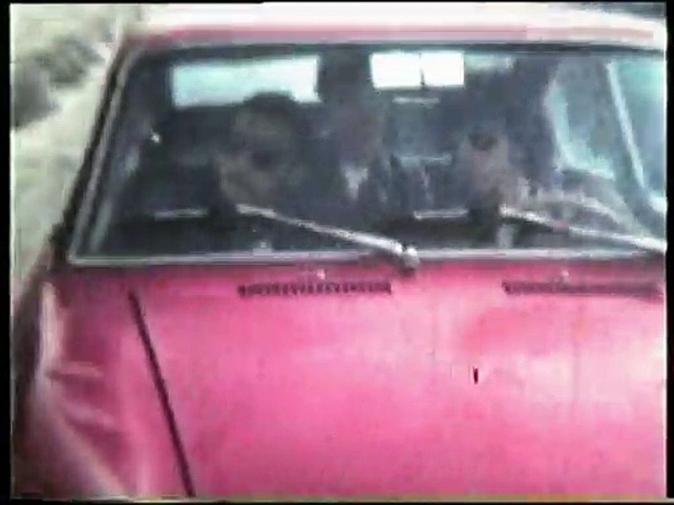 The Groop 1981